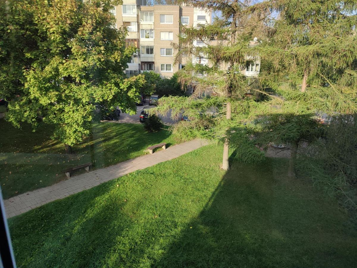 Shortstoppasilaiciai Vilnius Luaran gambar